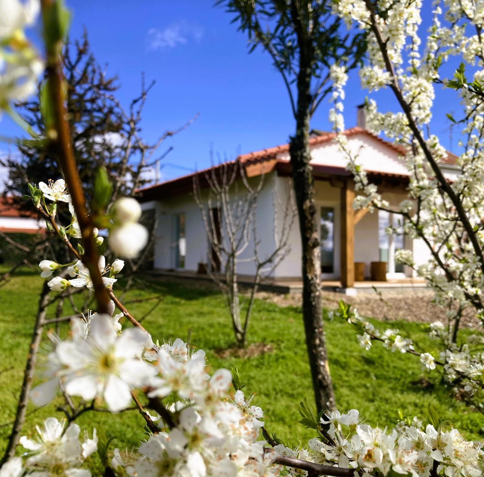 Ar Da Beira Vakantiehuis *